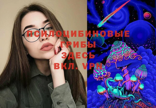 дживик Алзамай