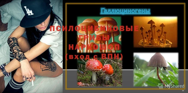 a pvp Алексин